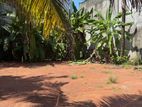 Super Land for Sale in Kotte DS1430