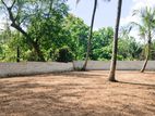 Super Land for Sale in Malsiripura D05
