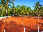 Super land for sale in Malsiripura - H 04