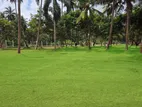 Super Land for Sale in Mellawagedara C19
