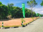 Super Land for Sale in Negombo ,Kochchikade