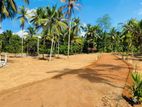 Super Land for Sale in Nittambuwa D05