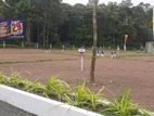 Super Land for Sale in Palagama