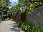 Super Land for Sale in Palawatte Lake Road Ds12360