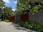 Super Land for Sale in Palawatte Lake Road Ds12360