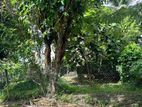 Super Land for Sale in Rajagiriya Ds1103