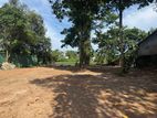 Super Land for Sale in Rajagiriya DS12