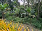 Super Land for Sale in Rajagiriya Ds1515