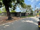 Super Land for Sale in Thalahena Ds171715