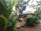 Super Land for Sale in Wellawtta (Colombo 6 )