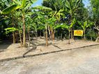 Super Land for Sale Kottawa