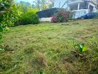 Super Land for Sale Kottawa