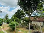 Super Land for Sale Kotte Ds7