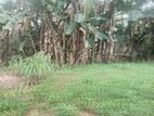 Super Land for Sale Kotte