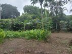 Super Land for Sale Maharagama