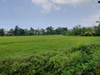 Super Land for Sale Maharagama