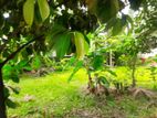 Super Land for Sale Maharagama