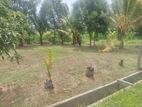 Super land for sale Maharagama town