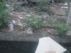Super Land For Sale Mount Lavinia