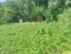 Super land for sale Nawala