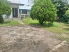 Super Land for Sale Nawala