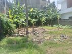 Super land for sale Nugegoda