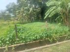 Super Land for Sale Nugegoda