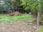 Super Land for Sale Nugegoda