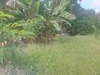 Super Land for Sale Nugegoda