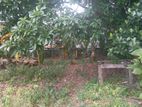 Super Land for Sale Nugegoda