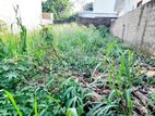Super Land for Sale Pitakotte Baddagana Duwa Road