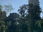 Super Land for Sale Rajagiriya Ds 1124