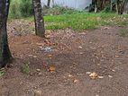 Super Land for sale sagabo mw between mankada road and delgoda