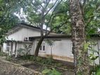 Super land for sale Single Story House