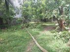 Super Land for Sale Talawathugoda