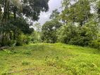 Super Land for Sale Talawathugoda Junction