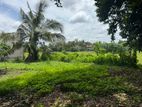 Super Land for Sale Thalahena Ds1225