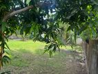 Super Land for Sale Thalahena Ds1230