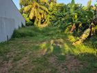 Super Land for Sale Thalawathugoda Ds3482