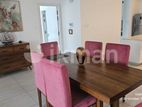 Super Luxury 2 BR 1250 sq ft Apartment For Rent in Colombo CCC|2500USD