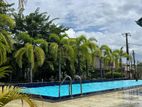 Super Luxury Cozy Studio Apartment ( Ixora )for Rent Kotte