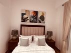 Super Luxury Furnished 2BR apartment for rent kotte