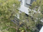 super luxury house for sale in rajagiriya kalapaluwawa