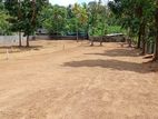 Super Luxury Land for Sale in Kadawatha Road Ragama