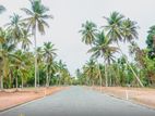 Super luxury land for sale In Kimbulapitiya Near Katunayake