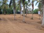 Super Residential Land for Sale in Rilawala Mattegoda