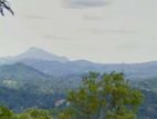 Super View Land For Sale in Kandy City (mountain and view)