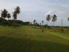 Superb Beach Property Tangalle
