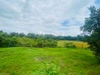 Superb Land Facing Beautiful Paddy Field Close to High Level Rd, Meepe