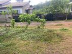 Superb Land for Sale Aluthgama